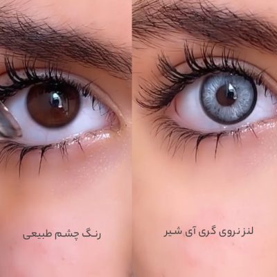 لنز طوسی پنج بعدی خاص دورمشکی نروی گری آی شیر