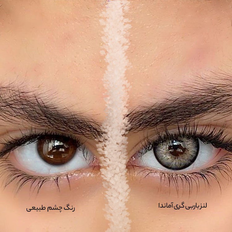 barbie-gray-amanda-33 لنز طوسی بژ دور مشکی باربی گری آماندا